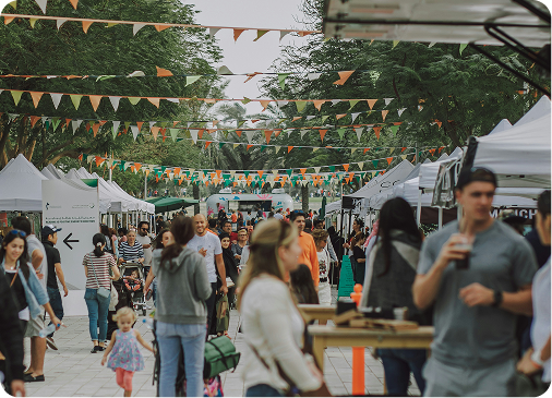 Large venues and multi-team operations